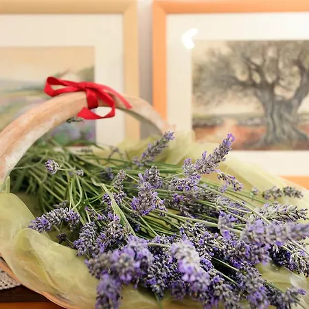 Apartment Patricija 1208 Banjole